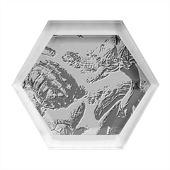 Turtles Leatherback Sea Turtle Hexagon Wood Jewelry Box