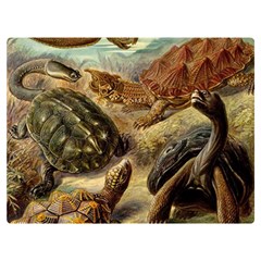 Turtles Leatherback Sea Turtle Two Sides Premium Plush Fleece Blanket (extra Small) by Pakjumat