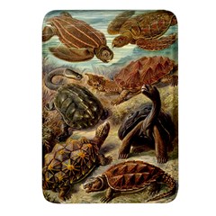 Turtles Leatherback Sea Turtle Rectangular Glass Fridge Magnet (4 Pack) by Pakjumat