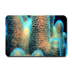 Photo Coral Great Scleractinia Small Doormat by Pakjumat