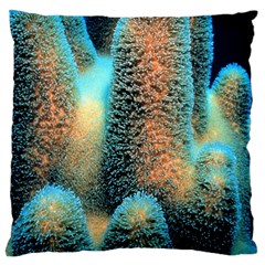 Photo Coral Great Scleractinia Large Cushion Case (one Side) by Pakjumat