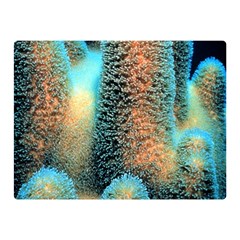 Photo Coral Great Scleractinia Two Sides Premium Plush Fleece Blanket (mini) by Pakjumat