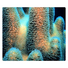 Photo Coral Great Scleractinia Two Sides Premium Plush Fleece Blanket (small) by Pakjumat