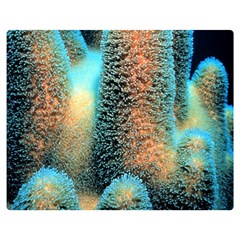 Photo Coral Great Scleractinia Two Sides Premium Plush Fleece Blanket (medium) by Pakjumat