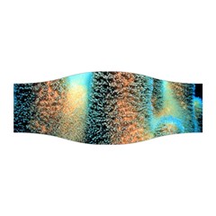 Photo Coral Great Scleractinia Stretchable Headband by Pakjumat