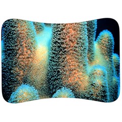 Photo Coral Great Scleractinia Velour Seat Head Rest Cushion