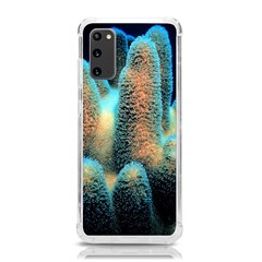 Photo Coral Great Scleractinia Samsung Galaxy S20 6 2 Inch Tpu Uv Case by Pakjumat