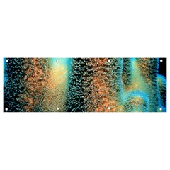 Photo Coral Great Scleractinia Banner And Sign 9  X 3  by Pakjumat