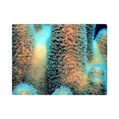 Photo Coral Great Scleractinia Premium Plush Fleece Blanket (mini) by Pakjumat