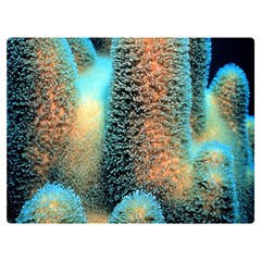 Photo Coral Great Scleractinia Premium Plush Fleece Blanket (extra Small) by Pakjumat