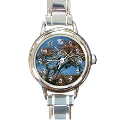 Botanical Wonders Of Argentina  Round Italian Charm Watch by dflcprintsclothing