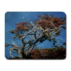 Botanical Wonders Of Argentina  Small Mousepad by dflcprintsclothing