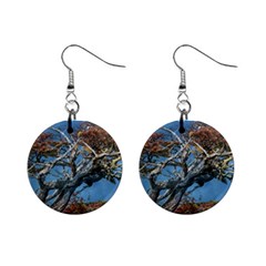 Botanical Wonders Of Argentina  Mini Button Earrings by dflcprintsclothing