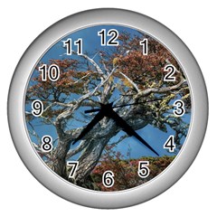 Botanical Wonders Of Argentina  Wall Clock (silver) by dflcprintsclothing