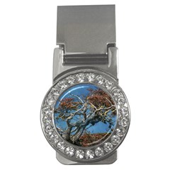 Botanical Wonders Of Argentina  Money Clips (cz) 