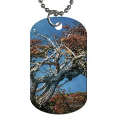 Botanical Wonders Of Argentina  Dog Tag (two Sides) by dflcprintsclothing