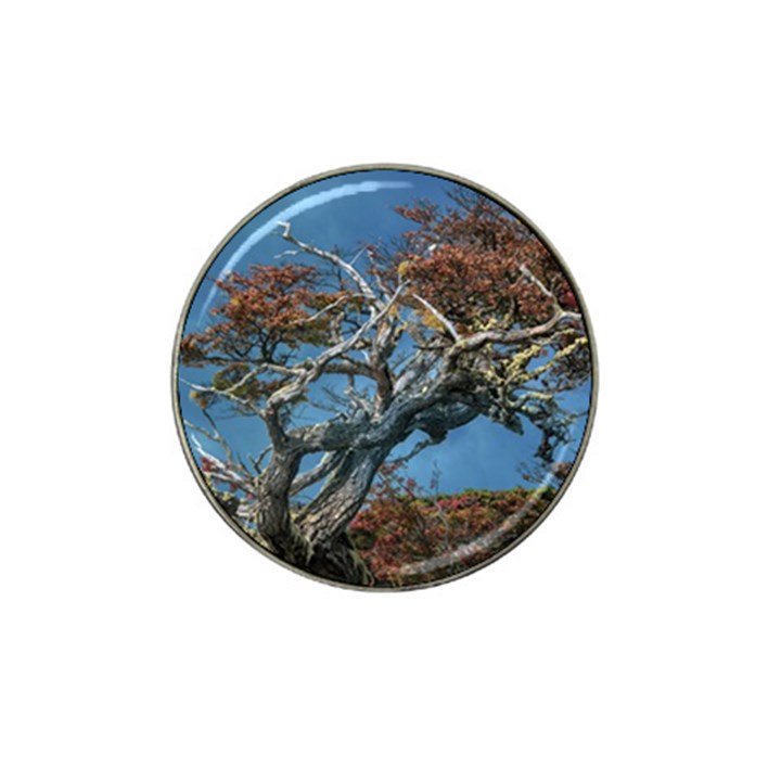 Botanical Wonders of Argentina  Hat Clip Ball Marker (4 pack)