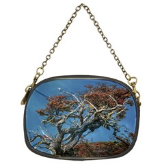 Botanical Wonders Of Argentina  Chain Purse (two Sides) by dflcprintsclothing