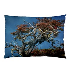 Botanical Wonders Of Argentina  Pillow Case