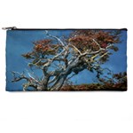 Botanical Wonders of Argentina  Pencil Case Front