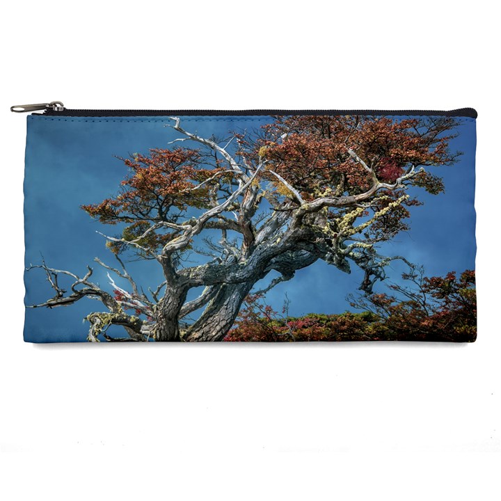 Botanical Wonders of Argentina  Pencil Case