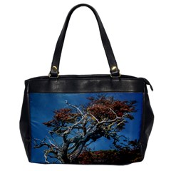 Botanical Wonders Of Argentina  Oversize Office Handbag by dflcprintsclothing