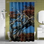 Botanical Wonders of Argentina  Shower Curtain 48  x 72  (Small)  Curtain(48  X 72 )