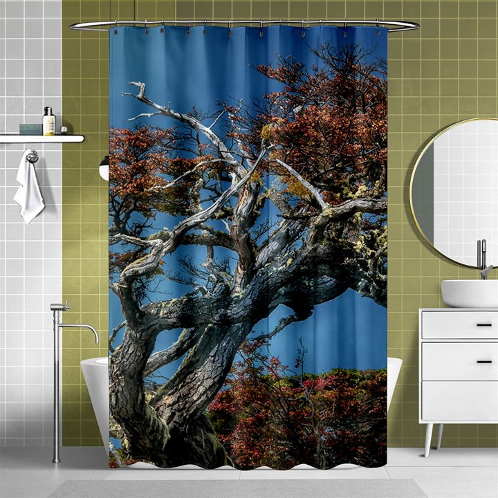 Botanical Wonders of Argentina  Shower Curtain 48  x 72  (Small) 