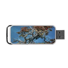 Botanical Wonders Of Argentina  Portable Usb Flash (one Side) by dflcprintsclothing