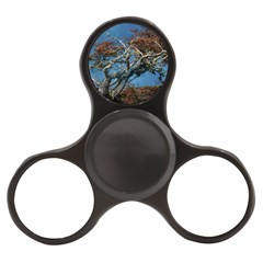 Botanical Wonders Of Argentina  Finger Spinner by dflcprintsclothing