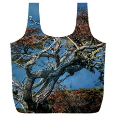 Botanical Wonders Of Argentina  Full Print Recycle Bag (xxxl) by dflcprintsclothing