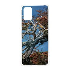 Botanical Wonders Of Argentina  Samsung Galaxy S20plus 6 7 Inch Tpu Uv Case by dflcprintsclothing