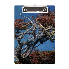 Botanical Wonders Of Argentina  A5 Acrylic Clipboard by dflcprintsclothing