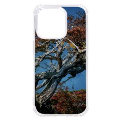 Botanical Wonders Of Argentina  Iphone 14 Pro Tpu Uv Print Case by dflcprintsclothing