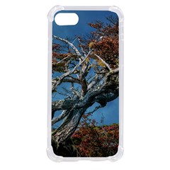 Botanical Wonders Of Argentina  Iphone Se by dflcprintsclothing