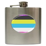 Bigender Flag Copy Hip Flask (6 oz) Front