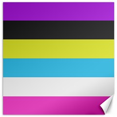 Bigender Flag Copy Canvas 12  X 12 