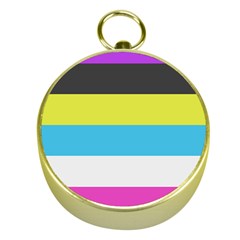 Bigender Flag Copy Gold Compasses by Dutashop