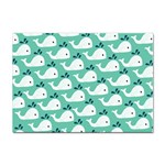 Whale Sea Blue Sticker A4 (10 pack) Front