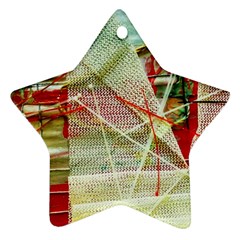 Dscf3247 Ornament (star) by bestdesignintheworld