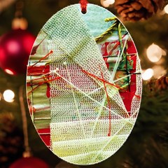 Dscf3247 Uv Print Acrylic Ornament Oval