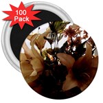 Lilies-1-1 3  Magnets (100 pack) Front