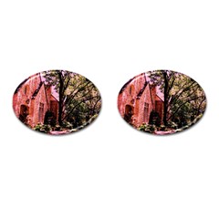 Hot Day In  Dallas-6 Cufflinks (oval) by bestdesignintheworld