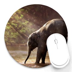 Baby Elephant Watering Hole Round Mousepad by Sarkoni