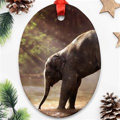 Baby Elephant Watering Hole Ornament (oval) by Sarkoni