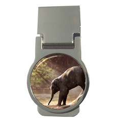 Baby Elephant Watering Hole Money Clips (round) 