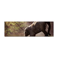 Baby Elephant Watering Hole Sticker (bumper) by Sarkoni