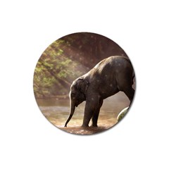 Baby Elephant Watering Hole Magnet 3  (round) by Sarkoni