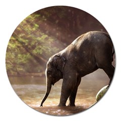 Baby Elephant Watering Hole Magnet 5  (round) by Sarkoni