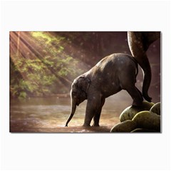 Baby Elephant Watering Hole Postcards 5  X 7  (pkg Of 10) by Sarkoni